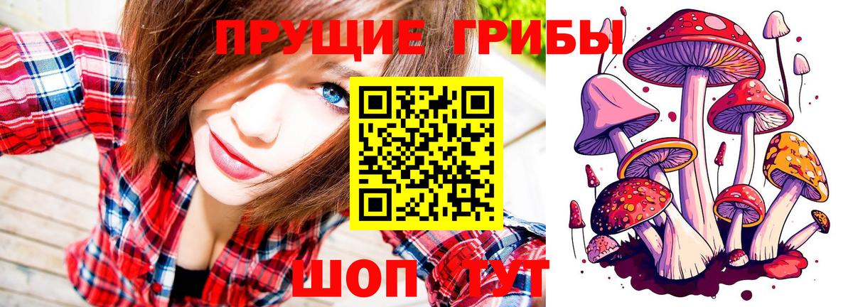 Псилоцибиновые грибы мицелий  Вход с VPN  Луховицы 